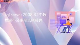 sql server 2008 R2中数据库不分离可以拷贝吗