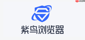 紫鸟网页版一键登录入口 紫鸟浏览器网页端官方登录通道
