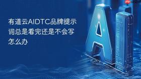 有道云aidtc品牌提示词总是看完还是不会写怎么办