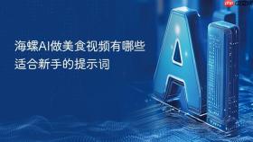 海螺AI做美食视频有哪些适合新手的提示词