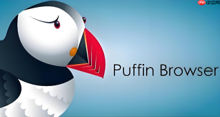 puffin浏览器官方页面 puffin浏览器网页在线入口
