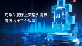 海螺ai餐厅上菜镜头提示词怎么按平台改写