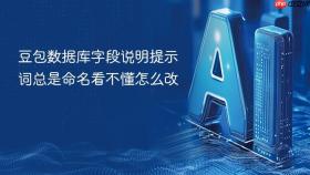 豆包数据库字段说明提示词总是命名看不懂怎么改