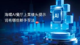 海螺ai餐厅上菜镜头提示词有哪些新手写法