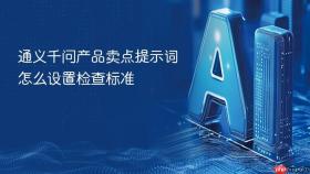 通义千问产品卖点提示词怎么设置检查标准