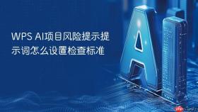 wps ai项目风险提示提示词怎么设置检查标准