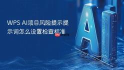 WPS AI项目风险提示提示词怎么设置检查标准