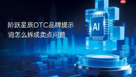 阶跃星辰dtc品牌提示词怎么拆成卖点问题