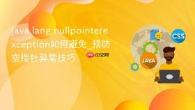java.lang.nullpointerexception如何避免_预防空指针异常技巧