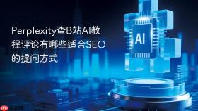 perplexity查b站ai教程评论有哪些适合seo的提问方式