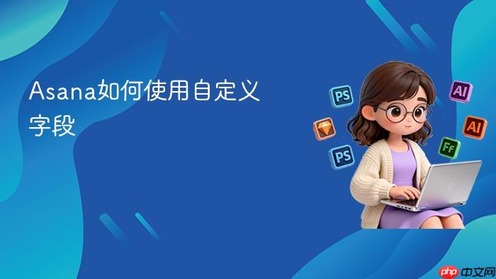 asana如何使用自定义字段