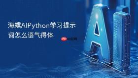 海螺aipython学习提示词怎么语气得体