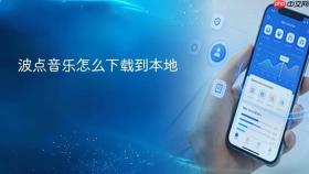 波点音乐怎么下载到本地
