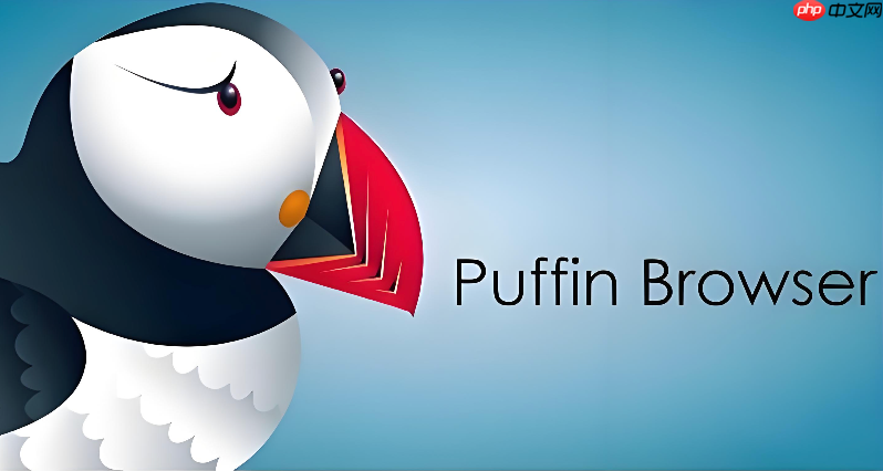 puffin浏览器官方入口 puffin浏览器在线网页版