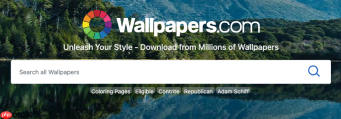 wallpaper网页版官网壁纸入口_wallpaper在线壁纸官网地址