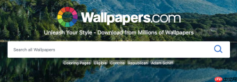 wallpaper官网电脑端入口_wallpaper壁纸在线网页版入口