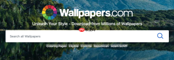wallpaper官网电脑端入口_wallpaper壁纸在线网页版入口