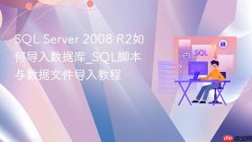 sql server 2008 r2如何导入数据库_sql脚本与数据文件导入教程