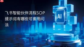 飞书智能伙伴流程SOP提示词有哪些可套用问法