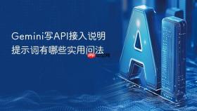 gemini写api接入说明提示词有哪些实用问法
