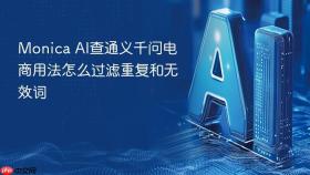 monica ai查通义千问电商用法怎么过滤重复和无效词