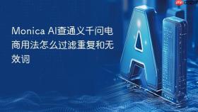 Monica AI查通义千问电商用法怎么过滤重复和无效词