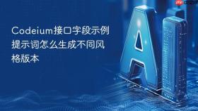 codeium接口字段示例提示词怎么生成不同风格版本