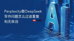 Perplexity查DeepSeek写作问题怎么过滤重复和无效词