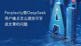 Perplexity查DeepSeek用户痛点怎么提炼可写成文章的问题