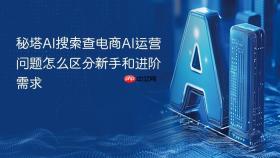 秘塔ai搜索查电商ai运营问题怎么区分新手和进阶需求