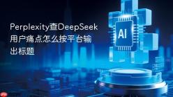 Perplexity查DeepSeek用户痛点怎么按平台输出标题