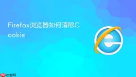 Firefox浏览器如何清除Cookie