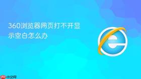 360浏览器网页打不开显示空白怎么办