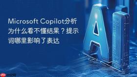 microsoft copilot分析为什么看不懂结果?提示词哪里影响了表达