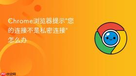 chrome浏览器提示\