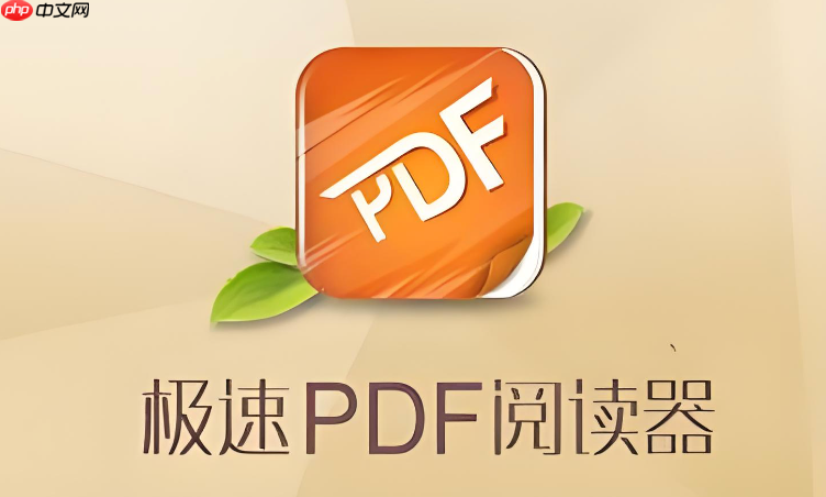 极速pdf阅读器打印出来很小怎么办