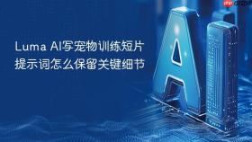 luma ai写宠物训练短片提示词怎么保留关键细节
