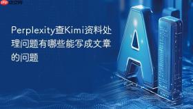 perplexity查kimi资料处理问题有哪些能写成文章的问题