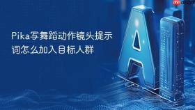 pika写舞蹈动作镜头提示词怎么加入目标人群