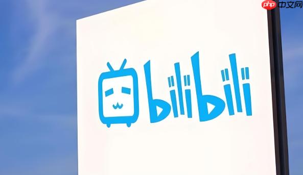 bilibili哔哩哔哩官方网页版入口 哔哩哔哩官网入口 - php中文网