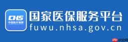 国家医保服务平台官网入口在线 国家医保服务平台医保办理入口
