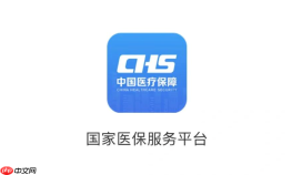 国家医保服务平台app怎么查消费记