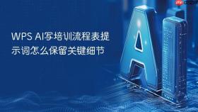 WPS AI写培训流程表提示词怎么保留关键细节
