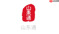 山东通文件导出步骤_山东通资料保存方法