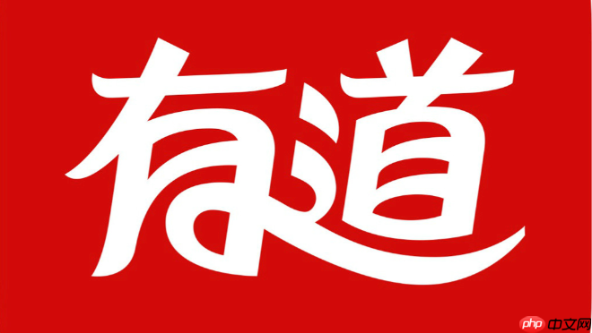 有道词典官网翻译入口 有道词典网页版翻译