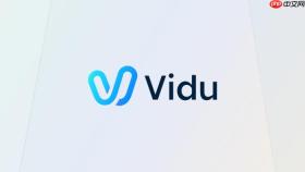vidu视频生成api调用流程