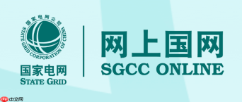 网上国网电费账单怎么看_网上国网账单查询步骤