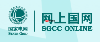 网上国网官网首页入口 网上国网在线登录入口
