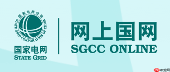 网上国网发票抬头怎么改