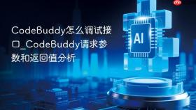 CodeBuddy怎么调试接口_CodeBuddy请求参数和返回值分析